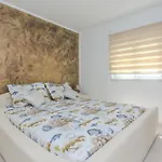 Apartman Lucica *